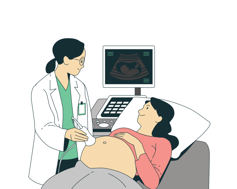 Your Ultrasound Experience